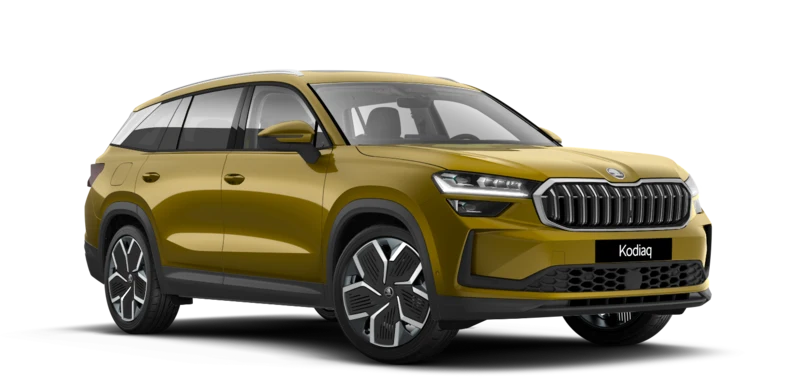 Новый Kodiaq